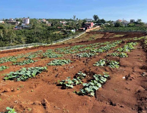 Đất mặt tiền có sổ hồng và thổ cư xã Tân...