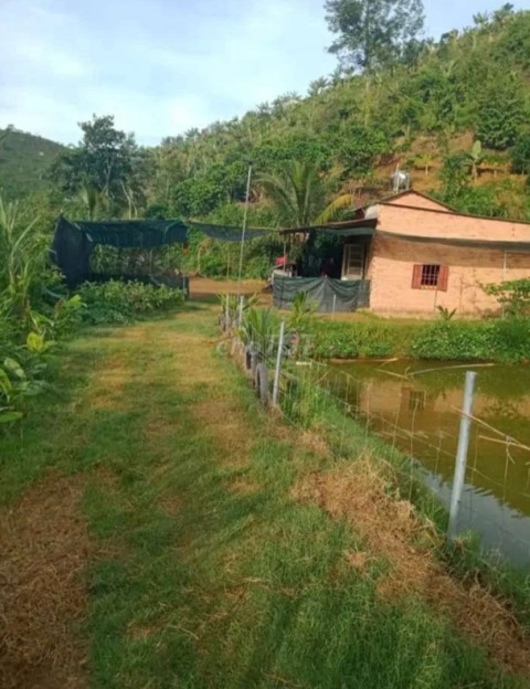 Cắt lỗ 40% lô đất dt 1520m2 giá chỉ...