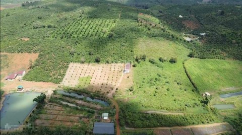 Bán đất trang trại, nhà vườn nghỉ dưỡng...