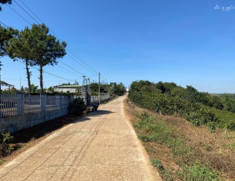 Bán Lô đất thổ cư 5x40, 450tr, Tân Lâm,...