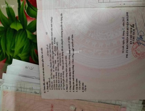 Chính chủ cần bán gấp lô đất đang trồng...