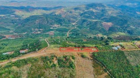 1300m2 đất Tân Lâm 60m MT đường ô tô,...