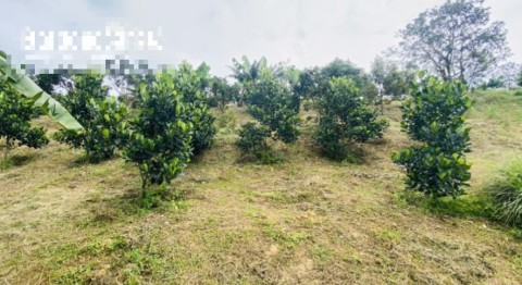 Cần bán đất vườn có thổ cư tại xã Tân...