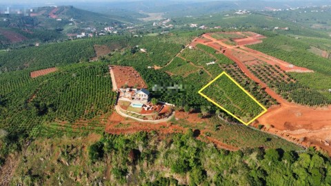 Cần bán lô đất view sông Đồng Nai đồi...