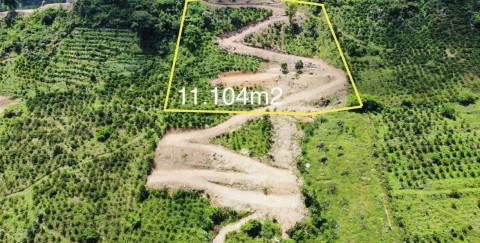 Bán lô đất đồi cao view đẹp tại xã Tân...