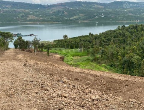 Chính chủ cần bán 6029m2 đất Tân Nghĩa,...