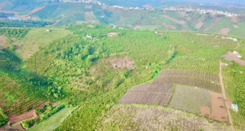 Cần bán 6000m2 đất Tân Thượng 2mt đường...