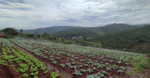 Đất đầu tư nghỉ dưỡng, phân lô view hồ,...