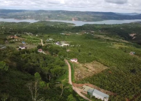 16588m2 bán nhanh 320tr/sào. Chính chủ...