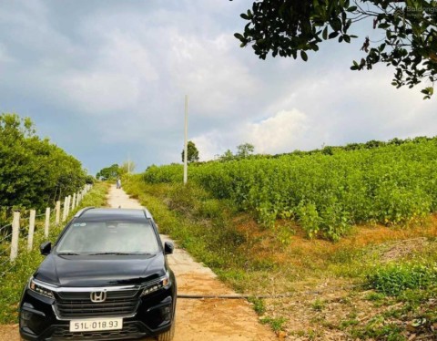 Chính chủ bán 1 sào đất vườn cạnh Quốc...