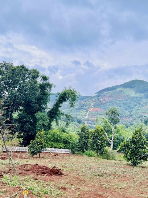 138 thị trấn Nam Ban