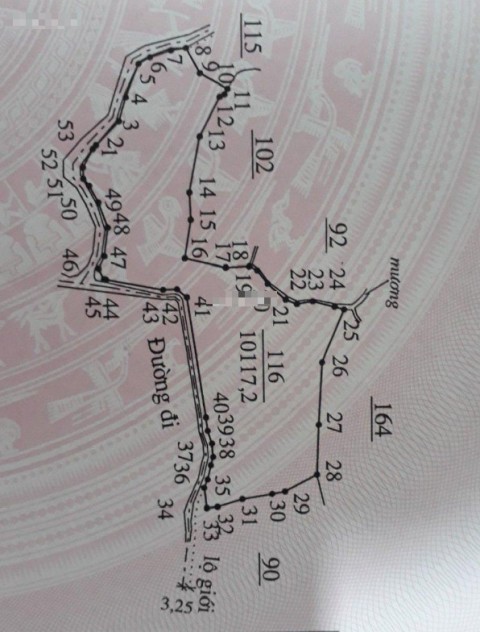 Chính chủ bán giá vốn 1,1ha đất vườn...