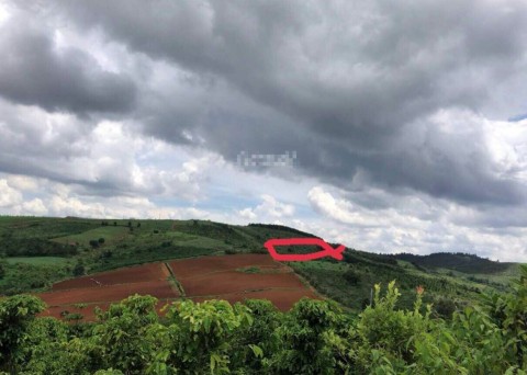 Bán 9200m2 sổ hồng đất nông nghiệp sẵn...