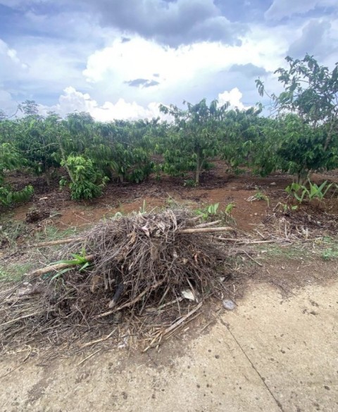 Bán đất gần trường tiểu học Ba Cản, Tân...