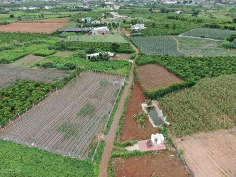 Đất nền rẻ chỉ 390tr sở hữu ngay đất thổ...