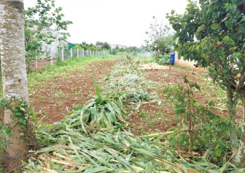 Bán lô đất đẹp giá đầu tư tại Tân Thành...