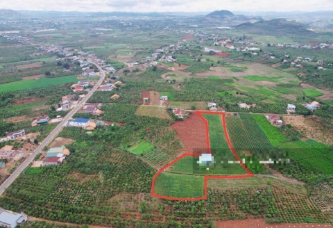 Bán đất trả ngân hàng, 7300m2 (1000m2...
