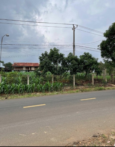 Đất mặt tiền đường nhựa 12m, vị trí đẹp...