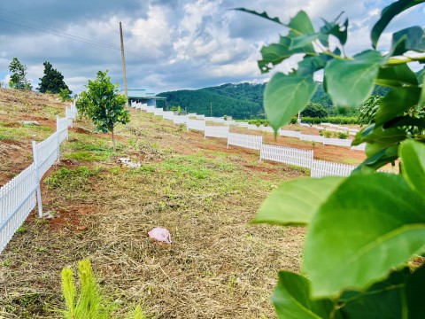 Còn 2 lô duy nhất giá F0 xã Nam Hà.View...