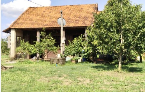 CẦN BÁN NHÀ NGHỈ DƯỠNG TẶNG VƯỜN SẦU...