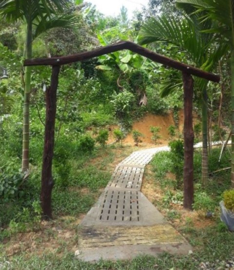 Cần Bán 4.9 hecta đất Xã Đức Phổ, Huyện...