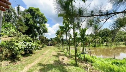 Cần Bán 2 Quả Đồi View Hồ Huyện Đạ...