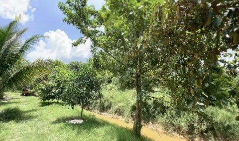 Cần bán đất làm đường tại xã Đức Phổ...