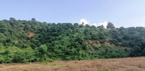 Bán vườn DT gần 7ha tại xã Nam Ninh...