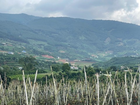 Nhà đất xã Đông Thanh