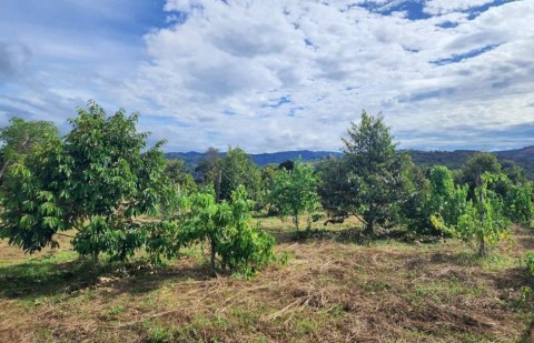 CHÍNH CHỦ BÁN ĐẤT ĐẤT Tại xã Gia Viễn,...