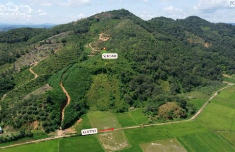 1.13 ha đất view đồi Cát Tiên, Lâm Đồng,...