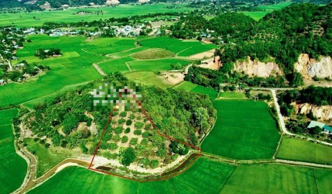 Cần bán đất ở đường liên huyện xã Phước...