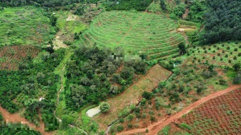 Cần bán đất nông nghiệp tại Đường DH91,...