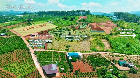 dat-ven-da-lat-gia-re