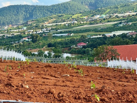 526m2 thị trấn Nam Ban giá chỉ 1,25 tỷ