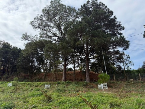 420m2 đất xã Nam Hà giá chỉ 590tr