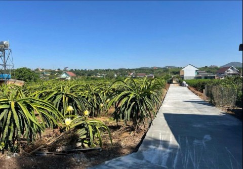 ban-sat-gia-lam-1-ty-4