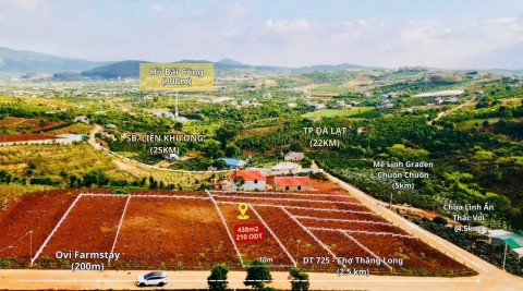 ban-sat-thi-tran-nam-ban-gia-ngop