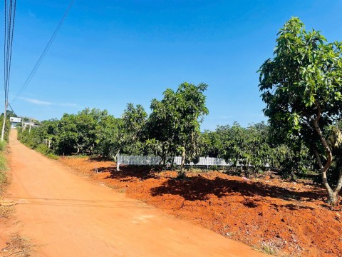 Đất TT Nam Ban, Mặt Tiền Rộng 16m. sẵn...