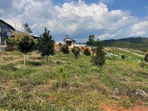 đất nghỉ dưỡng vùng ven Đà Lạt