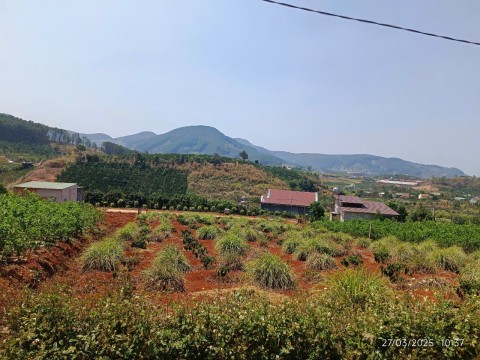 Hàng ngộp giá rẻ tại Thôn 5, Gia Lâm,...