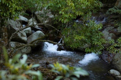 Sở hữu ngay Homestay 1,6ha giữa rừng...