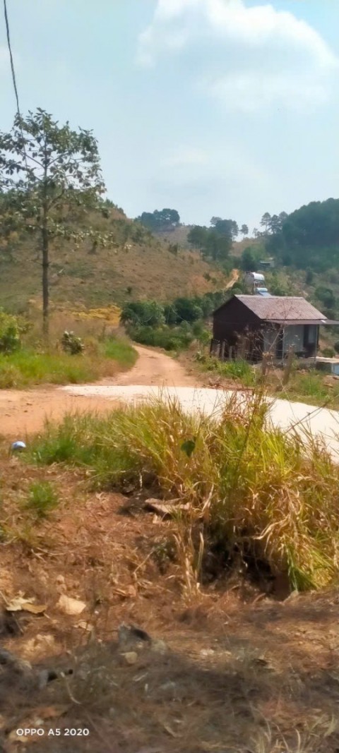 HÀNG NGỘP! GIA ĐÌNH CẦN BÁN GẤP 1HA ĐẤT...