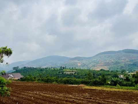 Bán Đất Đầu Tư - Nghỉ Dưỡng TT Nam Ban...