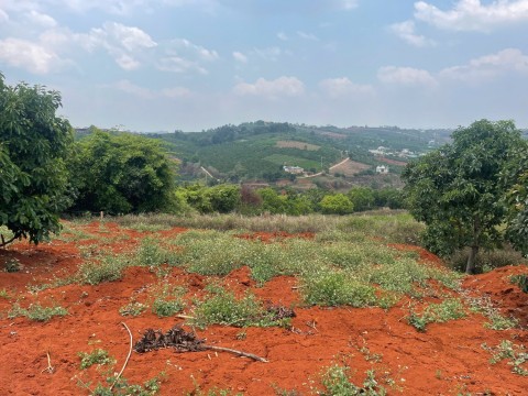 Đất nghỉ dưỡng ven Đà Lạt