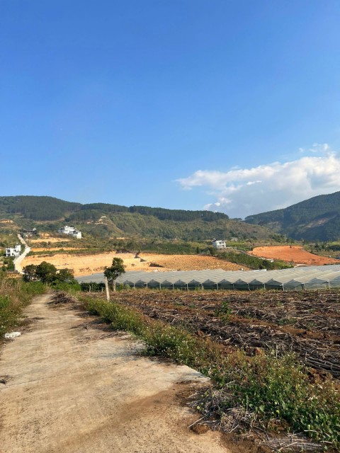 Bán đất tại Đông Thanh- Lâm Hà, 430...