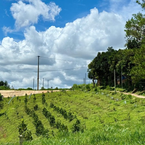 🔥 1 Lô Duy Nhất Hơn 400 M2 Trung Tâm Xã...