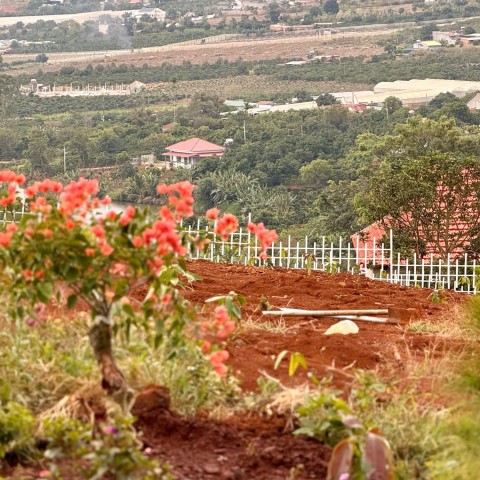 Lô đất 520 triệu ở TT Nam Ban, view toàn...