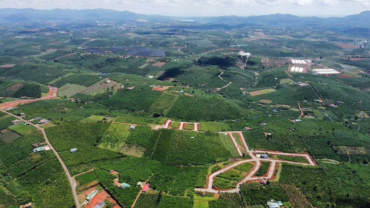Lâm Hà được định hướng phát triển rõ ràng trong tương lai