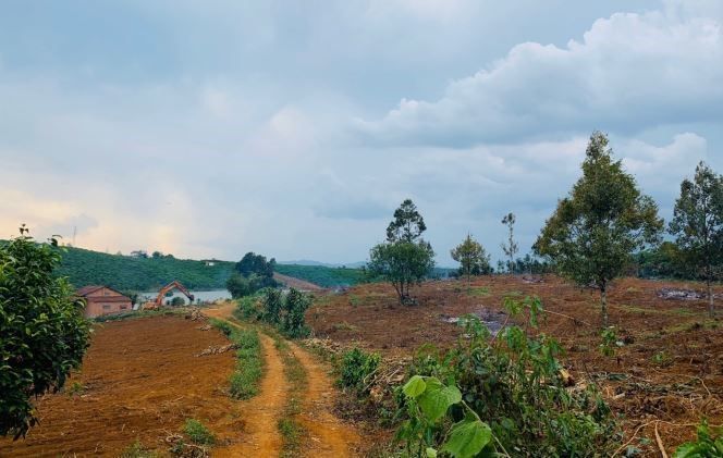 view ho loc thang bao loccj lam dong 900 m2 gia 12 ty